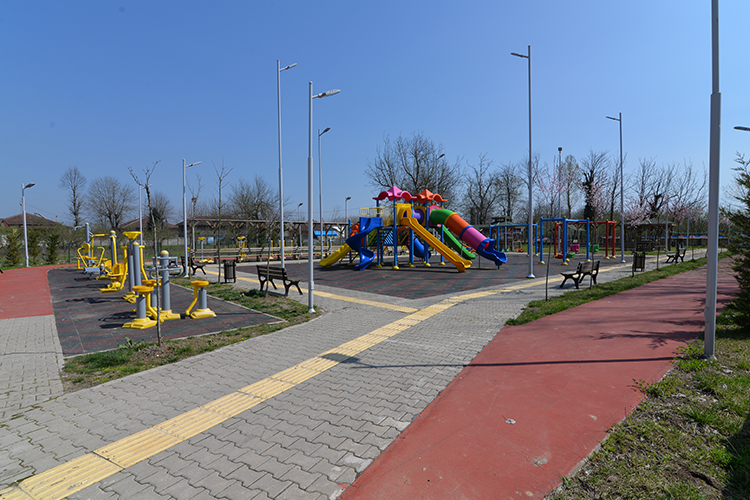 Park Çalışmaları