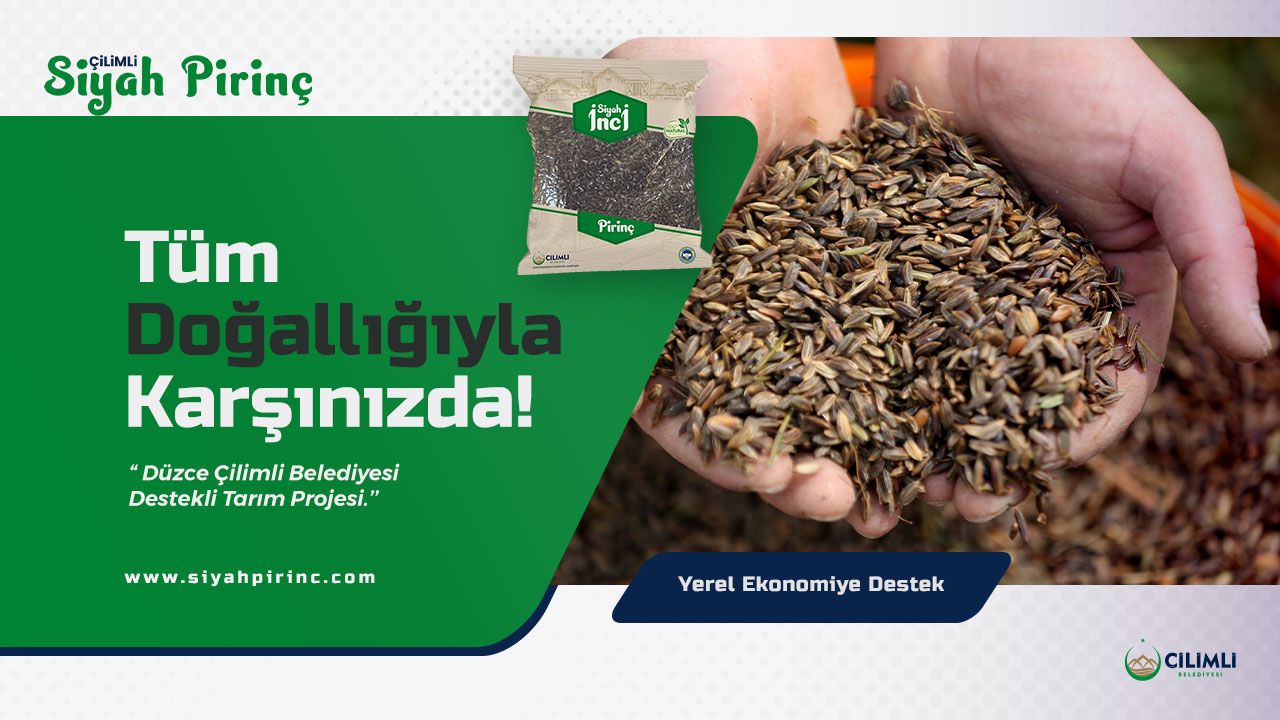 Çilimli Siyah Pirinç